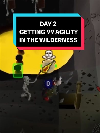Day 2 - We only did a few hours today but still made some progress! This is definitely a tricky grind what have I got myself into... 🤣🤣 #wilderness #oldschoolrunescape #osrs #runescape #fyp