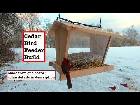 Cedar Bird Feeder Build (Made from 1 board + plexiglass)