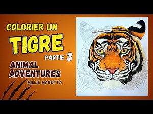 🔴 LIVE TIGER part 3 : MUZZLE and MORE FUR - ANIMAL ADVENTURES - Millie Marotta
