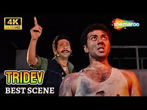 देश के दुश्मनों का खात्मा करने जाग उठे त्रिदेव | Sunny Deol & Naseeruddin Shah | TRIDEV - BEST Scene