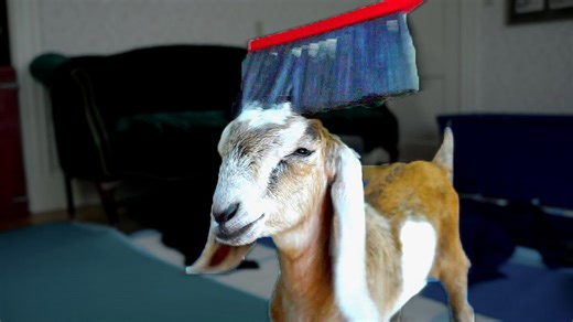 Baby goat falls in love with brush during grooming