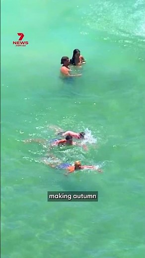 Sydney's summers lasting weeks longer than decades ago