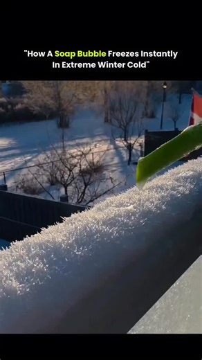 @uvedi.ts on Instagram: "A soap bubble can freeze in winter because the air temperature drops below the freezing point of the thin water layer that forms the bubble. When someone blows a bubble using a straw in extreme cold, the soap film cools almost instantly instead of popping as it normally would. As the temperature falls, water molecules inside the bubble begin to crystallize. Ice starts forming at a single point and then spreads across the surface in branching, feather-like patterns. These