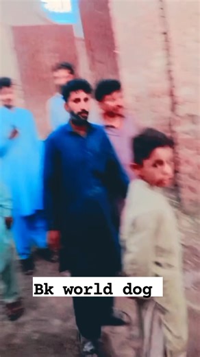 1.2K views · 32 reactions | Bk world dog | Bk world dog | Facebook