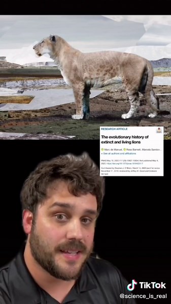 Exploring the Ancient History of the American Lion