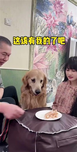 元宝：先下手为强！| Yuanbao: Strike First, Strike Hard.