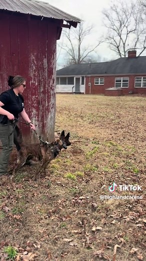 Realistic Training Scenarios for Patrol Dogs