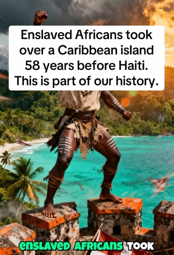 In 1733, Akwamu warriors seized Saint John from the Danish, killed plantation owners, and ran the island for six months—58 years before Haiti. When 400 French troops arrived, over 100 rebels jumped off cliffs rather than return to chains. Denmark buried it. The U.S. bought those islands and never taught it. Now you know why. 1733 slave rebellion, Saint John uprising, Akwamu warriors, Caribbean history, Danish colonialism, hidden history, U.S. Virgin Islands 1733Rebellion #CaribbeanHistory #Akwam