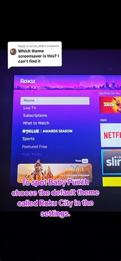 Replying to @br33z_808 Go to settings and choose the default theme called Roku City. 🫶😉 #fyp #roku #punch #rokucity #babypunch @Roku