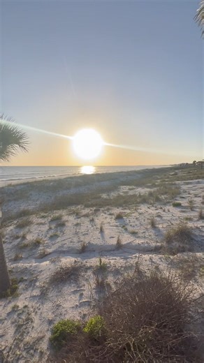 27K views · 426 reactions | Who’s sad to see the weekend go? 梁 | Discover Mexico Beach, FL | Facebook