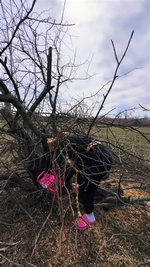 #селоілюди #штіль210