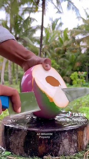 Discover What's Inside a Coconut!