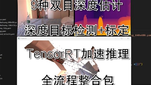 【双目深度估计】9种立体匹配算法整合包一键运行，支持相机标定、目标检测和tensorrt加速