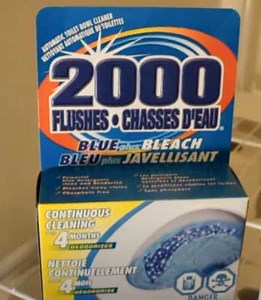 2000 Flushes Problems: Facts and Myths Revealed