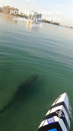 Miles and miles of paddling. Sunrises no one saw. Storms I had to read on my own. Learning the ocean and the back bays of Miami one tide at a time. Learning the wind. The currents. The sandbars. The way the light hits the water before a front moves in. Learning the patterns of the local dolphins just by being out there — day after day, season after season. No one handed me a playbook. No one gave me tips. No one showed me where to launch or when to turn back. This was a solo education. Seven yea