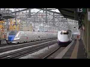 E2系団体専用列車