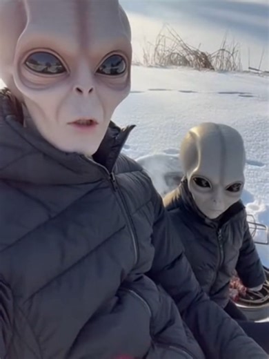 Aliens Grillen am See 🔥😂 | #alien #deutsch #ai #foryou #aliens #schnee #winter #grill #grillen #insta #viral