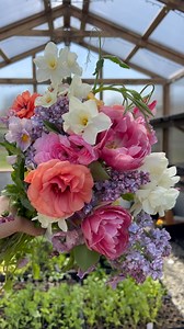 20K views · 298 reactions | Took a 15 minute break for some flowers… turned into a full on watering/fertilizing session. If that’s not farmer life, I don’t know what is. If I didn’t have so many packages to ship today, I’d also have started weeding and planting a few things, let’s be real!  . . . . . . . #ranunculus #flowers #grow #flowerfarm #greenhouse #springflower #urbanfarming #flowerfarmer | Micro Flower Farm | Facebook