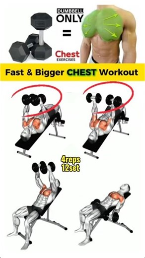%💯Beginner to Pro: Bigger Chest Workouts at Home & GYM | Best Exercise #shorts #fitness #gym #fyp
