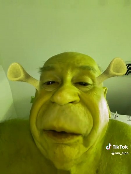 Shrek. Ogres are like onions. NO! We are party animals that like to party every weekend.