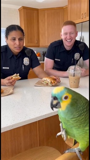 Parrot & Cops – The Lunch Interrogation #parrot #cops #funnypets #funny #police #funnyvideos #talkingparrot #funnyreels #ParrotComedy #parrotroastingcops | Parrot & Cops