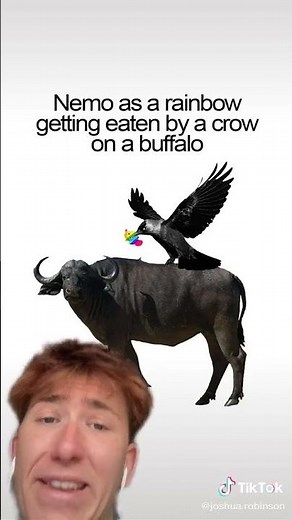 Joshua Robinson screaming Nemo 🐟