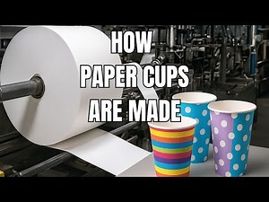 Inside the Factory: How Paper Cups Are Made (and the Myths Behind Them)