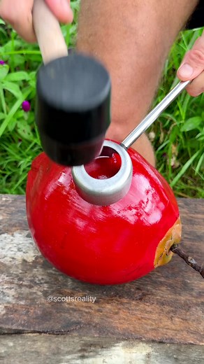 Fastest way to open a coconut! 🥥 | Coconut Water