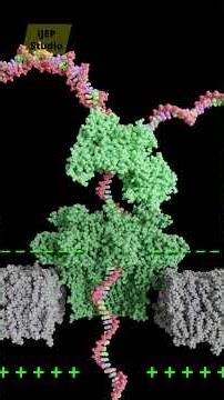 DNA Sequencing Nanopore