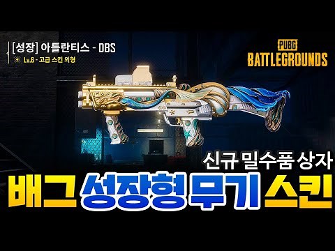 배그 신규 성장형 무기 스킨으로 여름 DBS 출시했습니다!