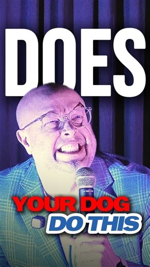 Does your dog do THIS? #dog #dogshorts #comedy