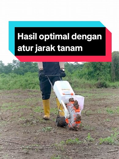 Sesuaikan jarak tanam untuk hasil yang lebih optimal ya Sobat Firman! #shorts #seeder #tanamjagung