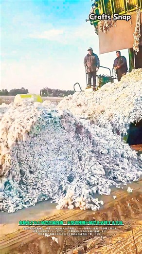 自動化された綿花圧縮技術：大型収穫機が綿花を処理する方法 #worker #process #agriculture #cotton #farming