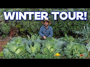 Touring My Winter Garden | Vegetable Uses and Growing Tips