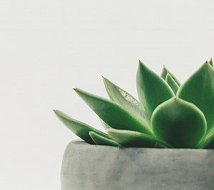 Naturopathic Medicine Treatments Doctor in Toronto | Insight Naturopathic Clinic