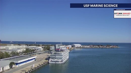 LIVE VIEW: Take a moment to enjoy a waterfront view of St. Pete from our USF Camera sponsored by Storm Smart. | FOX 13 News - Tampa Bay