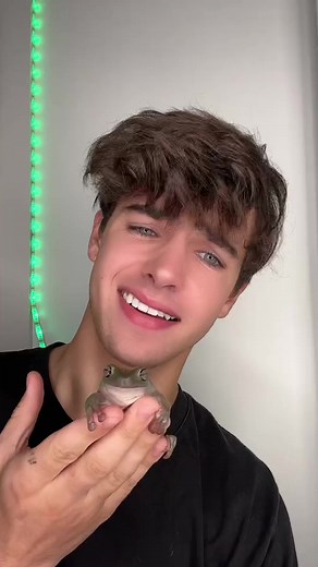 84K views · 1.1K reactions | Dancing frog  | Kyle Thomas | Facebook