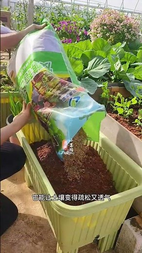 Sharing how to prepare soil for home gardening. This method produces loose, well-draining, and fe...