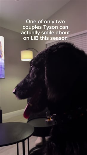 Tyson ain’t blind to real love @Netflix #loveisblind #labradoodle #petsontiktok #dogtok #doglover