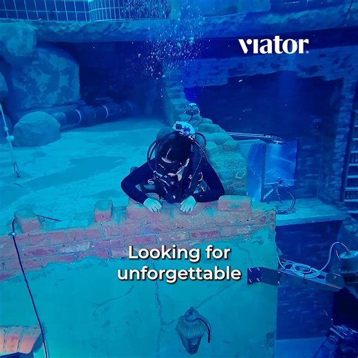 Explore the world your way with Viator’s 300,000 unique experiences and activities. | Viator