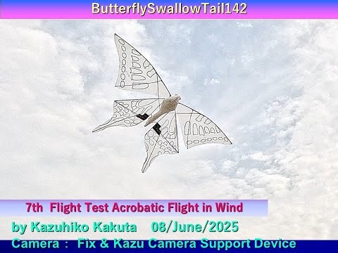 蝶型羽ばたき機 ButterflySwallowTail142 68g：7th Flight Test Acrobatic Flight in Wind