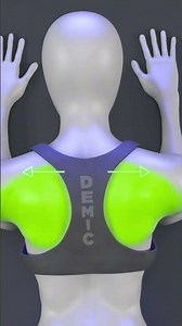Plank 3D Animation #fitness #gym