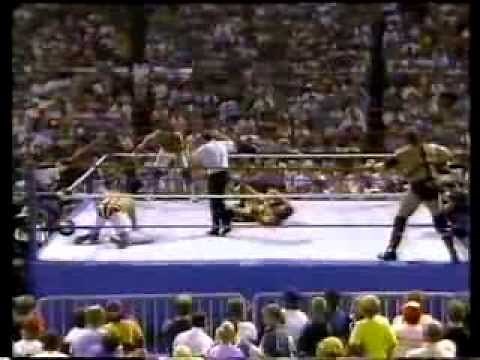 Ax & Smash vs. Dynamite Kid & Davey Boy Smith (WWF Tag Team Championship)