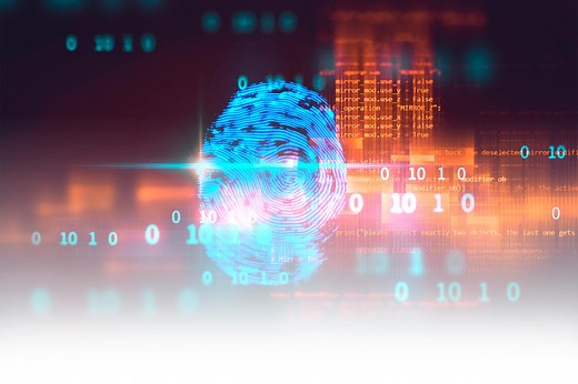 How to Disappear from the Internet