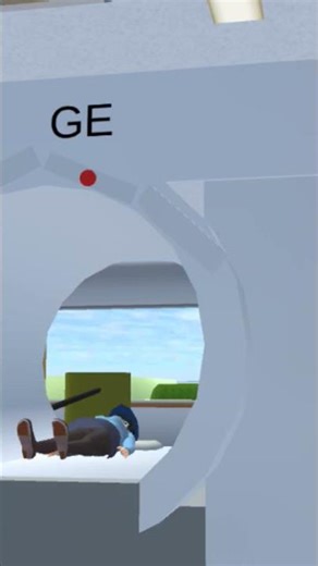 functional magnetic resonance imaging GE Signa optima also known as optima MR360 1.5T fMRI