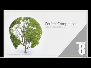 ECO 2023 Microeconomics -- Chapter 8.01: Market Structure Analysis