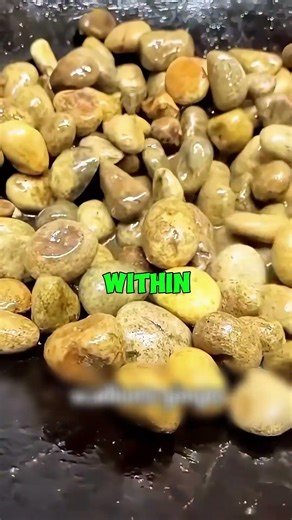 How To Boil Water In A Wooden Bowl