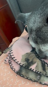 16K views · 778 reactions | we would say dat uncle Tank sure did enjoy us weekend! we hopes you all did too 珞 | Torri Bugg and Saddi Gator | Facebook