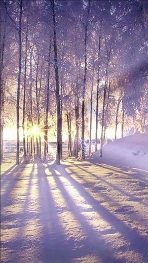 La dolcezza della più BELLA MUSICA classica!