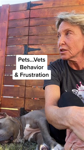 Understanding Neurological Issues in Dogs: A Frustrating Journey